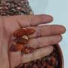 Sale Tío Peñas Almendra frita con piel en aceite de oliva virgen extra con sal 1kg