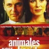 Animals_ferits_(Animales_heridos) [DVD]
