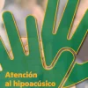 Best SINTESIS EDITORIAL Atención al hipoacúsico. G.S. Audiología protésica