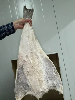 Discount Ibéricos a Domicilio Gourmet Bacalao Islandia en Hoja Entera 8/12 (4-5 kg)