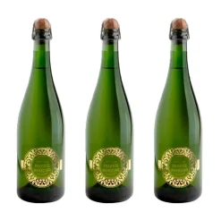 Sale Fanbar Brut nature - Pack 3 botellas