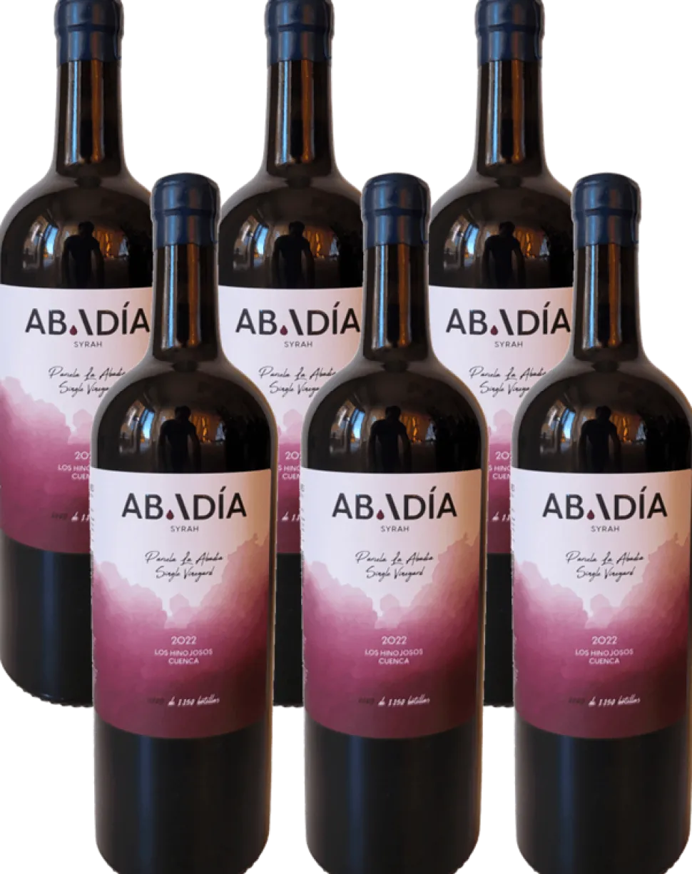 Caja Abadía 2022 -Syrah 6 x 750 ml