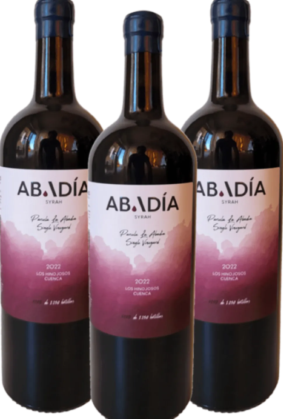 Caja de 3 botellas - Abadía 22 Syrah