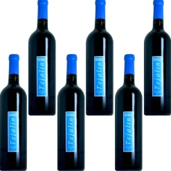 Tejalín Caja de 6 botellas de vino tinto roble de 75 cl