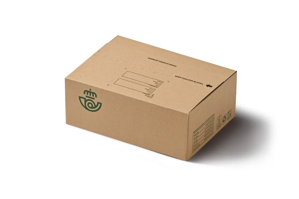Discount Caja de cartón pequeña | 240 x 170 x 87 mm