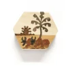 Caja solidaria de madera Agua de coco