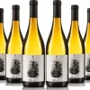 New 13 viñas Caja 6 unidades Babú