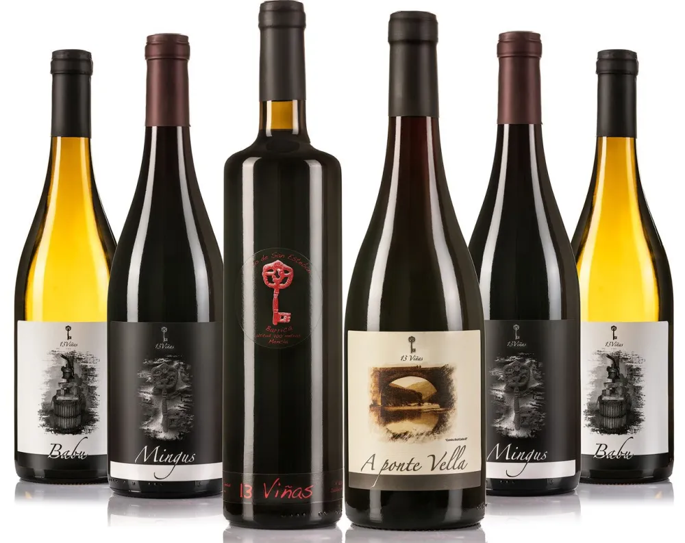 Sale 13 viñas Caja 6 unidades, 2 Babu,2 Mingus ,1 Alto de San Esteban,1 Ponte vella