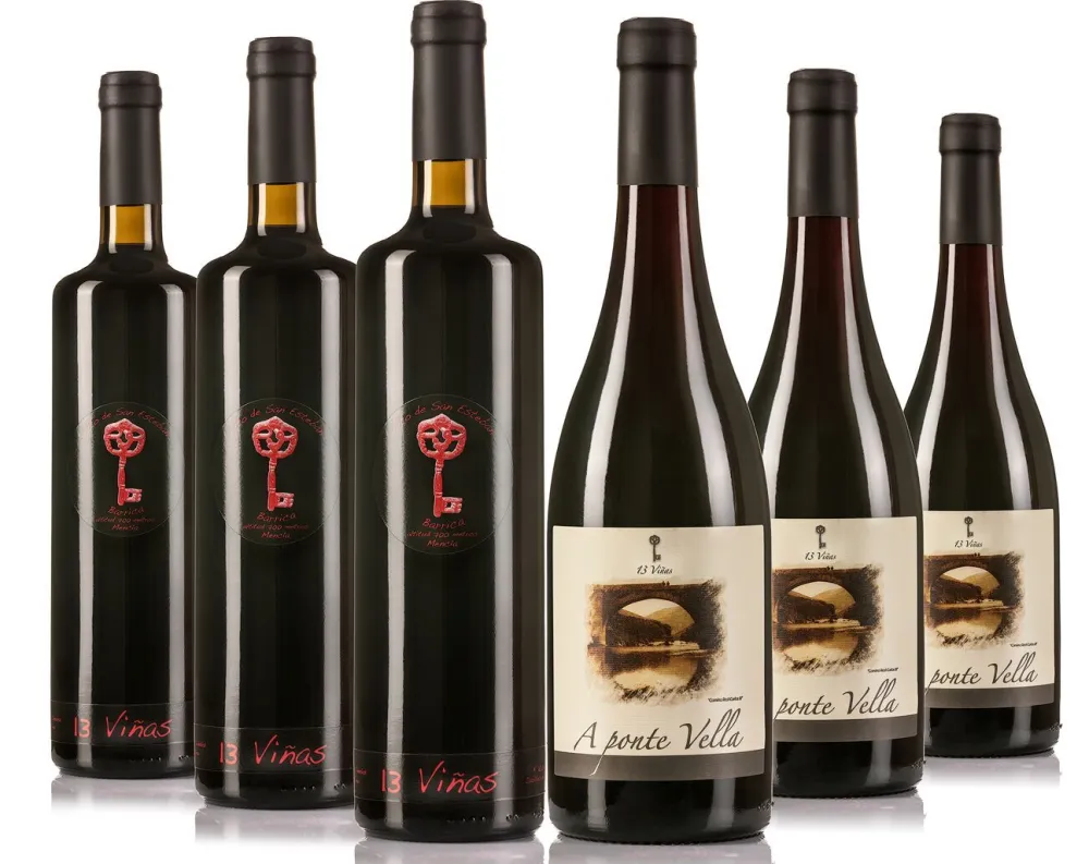 Sale 13 viñas Caja 6 unidades, 3 unidades Alto de San Esteban y 3 unidades Ponte Vella