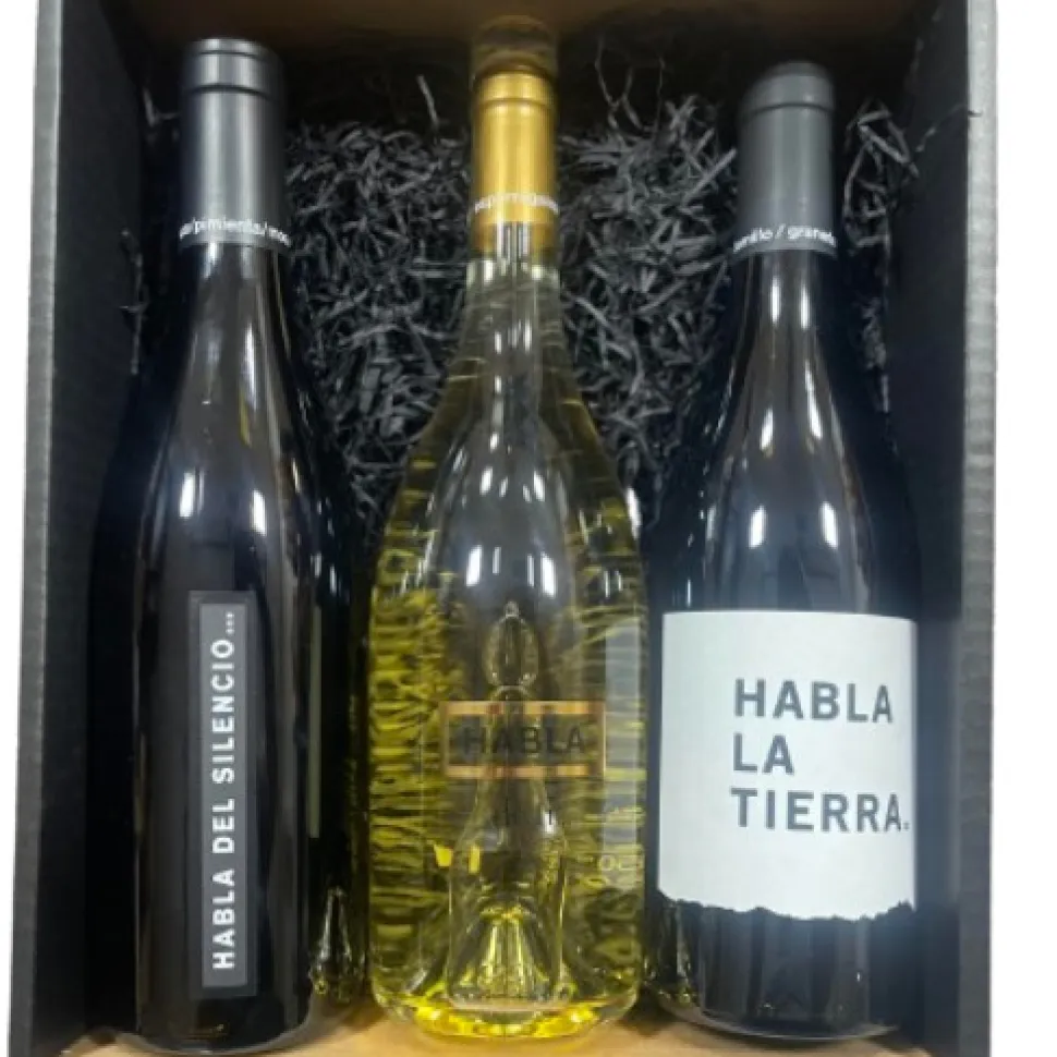 Cesta Regalo Navidad Lote Gourmet Vino HABLA…