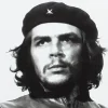 Hot DVDTOTAL Che Guevara, donde nunca jamas selo imaginan ***DVD*** [dvd]