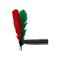Best Disfraces Lucero Cinta con 2 plumas verde y roja