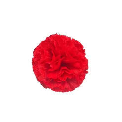New Disfraces Lucero Clavel Rojo con Broche