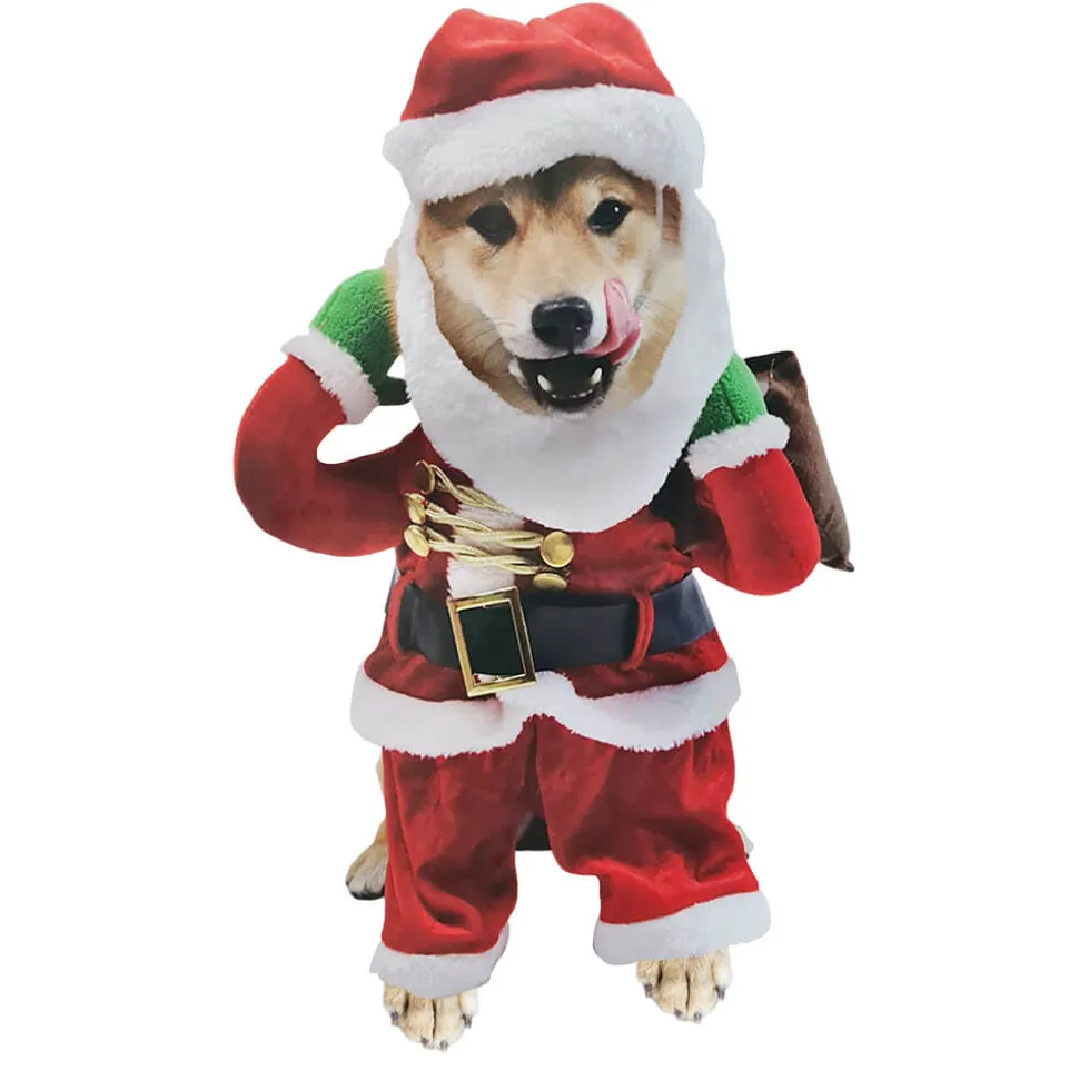 Disfraz de Papá Noel para Mascotas