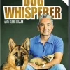 New DVDTOTAL Dog Whisperer With Cesar Millan: Power of the Pack [Reino Unido] [DVD] [dvd]