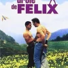 Drole de Felix [DVD] [dvd] [2014]
