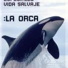 Sale DVDTOTAL Especiales vida Salvaje: La Orca