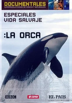 Sale DVDTOTAL Especiales vida Salvaje: La Orca