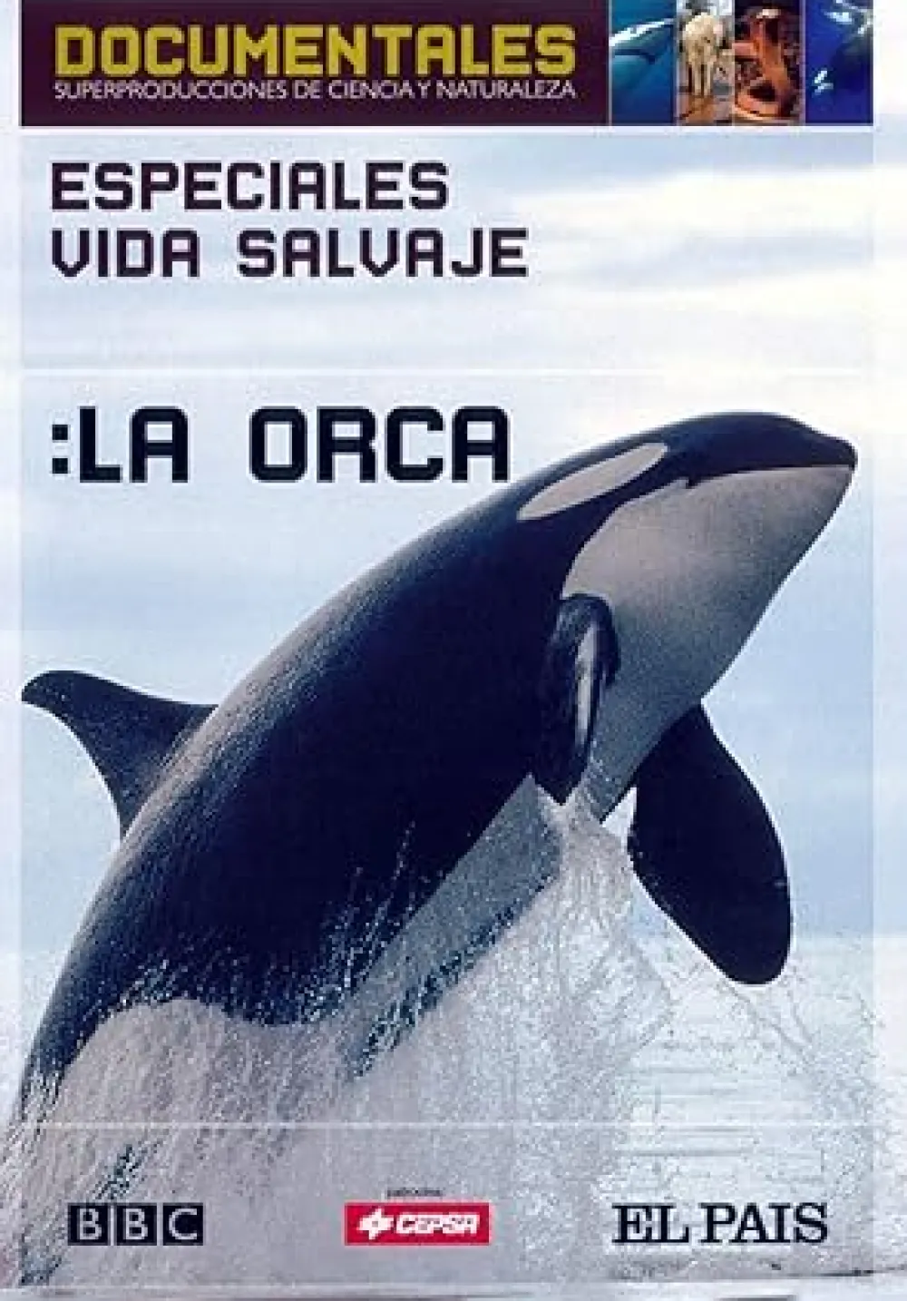 Sale DVDTOTAL Especiales vida Salvaje: La Orca