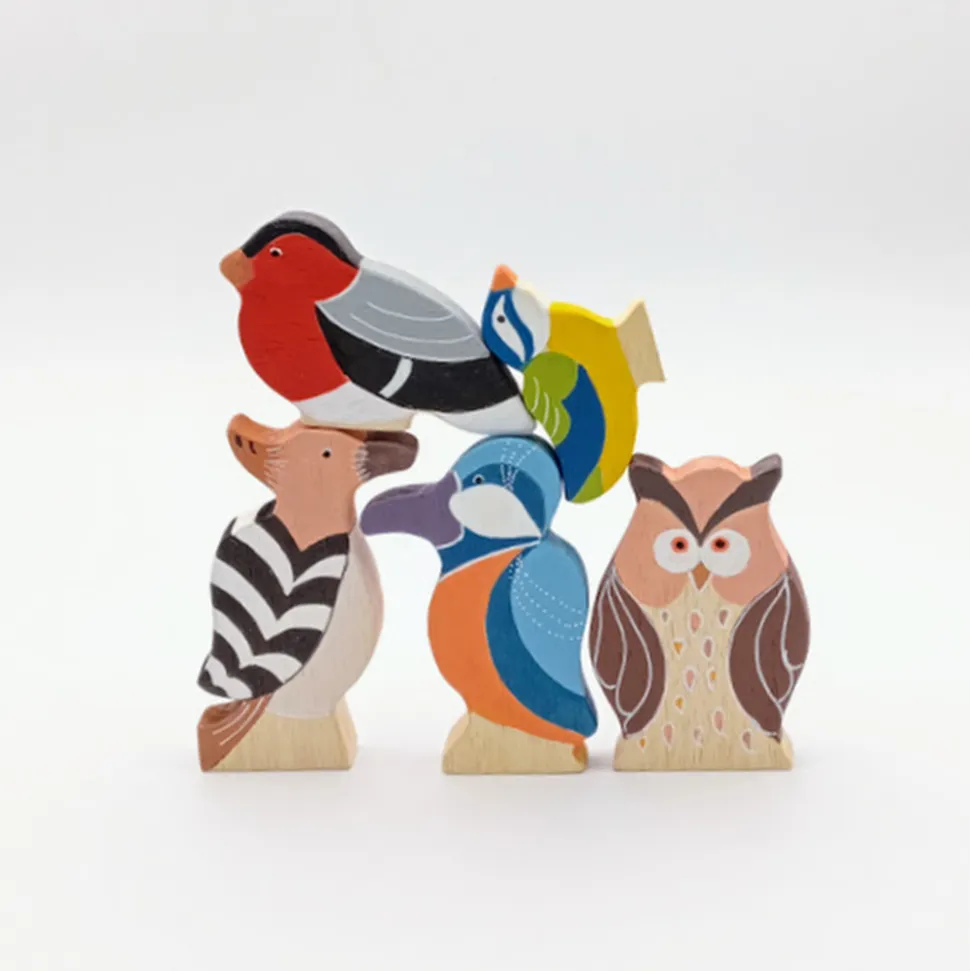 Familia de 5 pájaros de colores