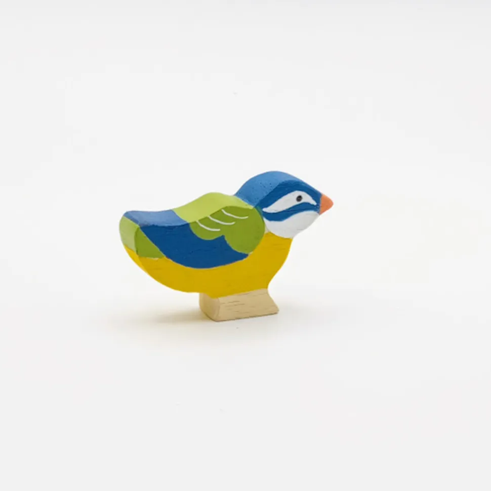 Familia de 5 pájaros de colores