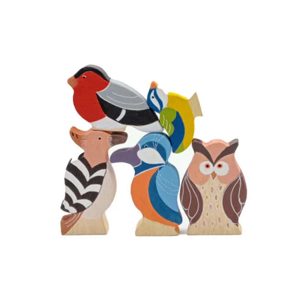 Familia de 5 pájaros de colores