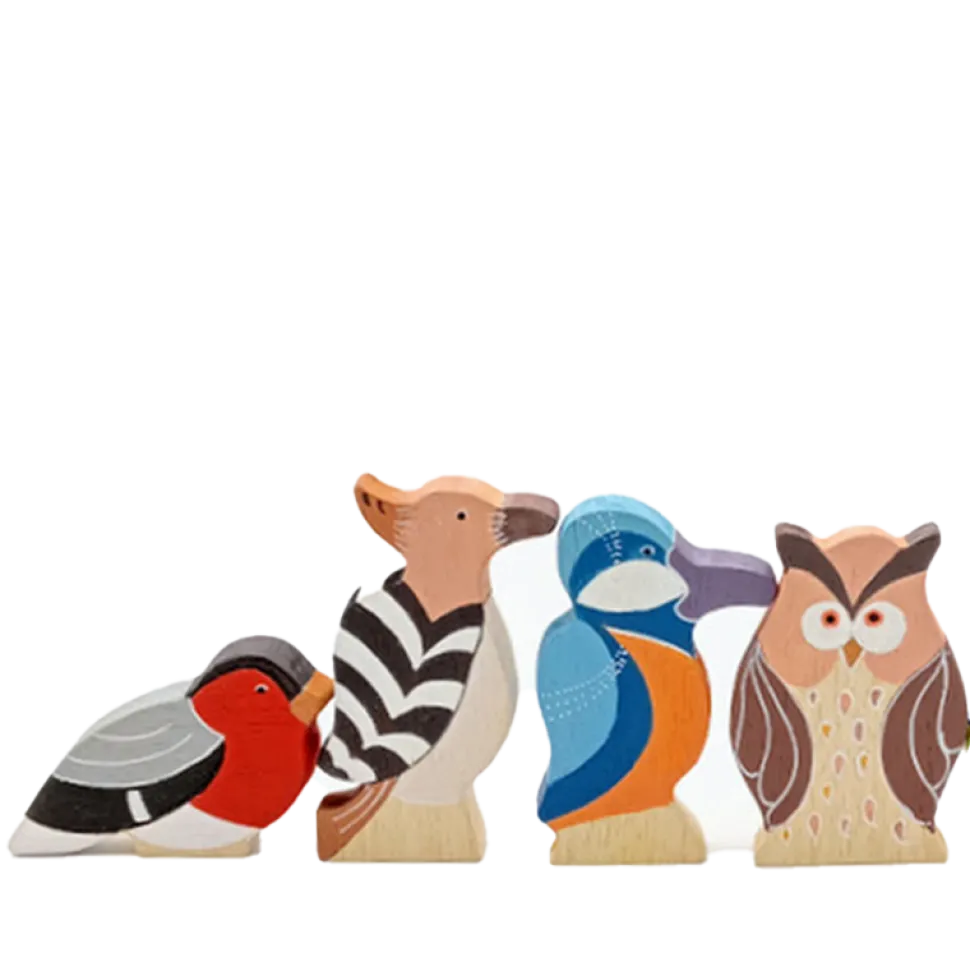 Familia de 5 pájaros de colores