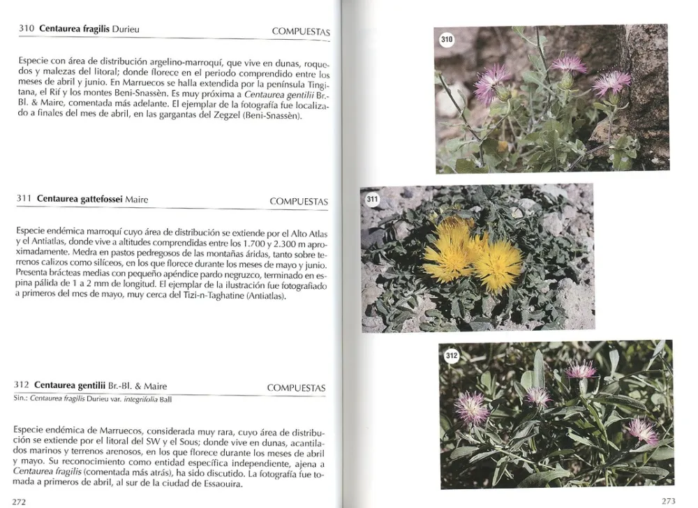 Online Jolube Editorial y Librería Flora selecta marroquí