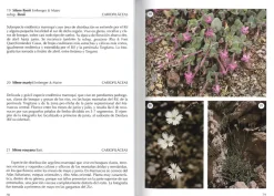 Online Jolube Editorial y Librería Flora selecta marroquí