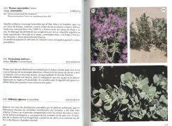 Online Jolube Editorial y Librería Flora selecta marroquí