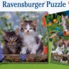 Hot Ravensburger Gatitos atigrados. 3 puzzles de 49 piezas cada uno