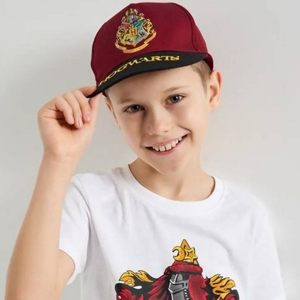 Gorra Premium Harry Potter Hogwarts Visera Plana