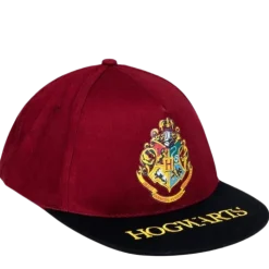Gorra Premium Harry Potter Hogwarts Visera Plana