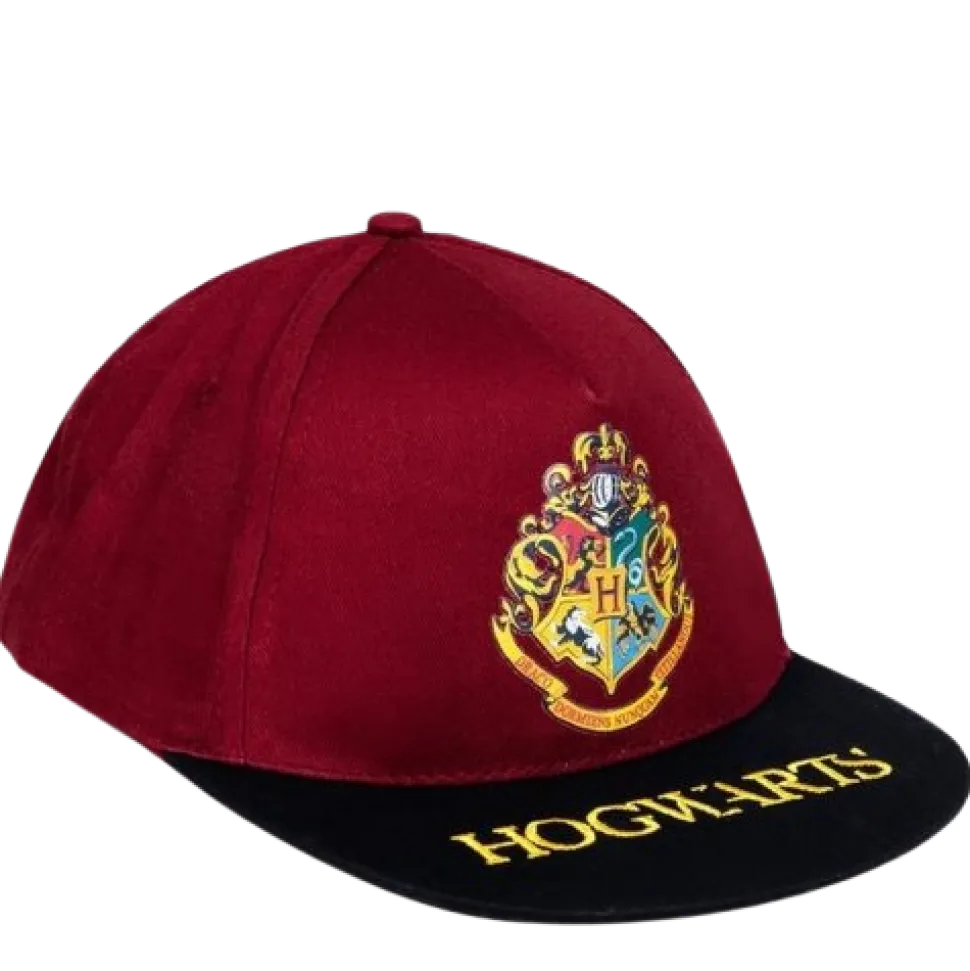 Gorra Premium Harry Potter Hogwarts Visera Plana