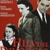 Clearance DVDTOTAL Hija del divorcio [DVD] [dvd] [2014]