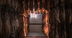 Jamón de Bellota ibérico