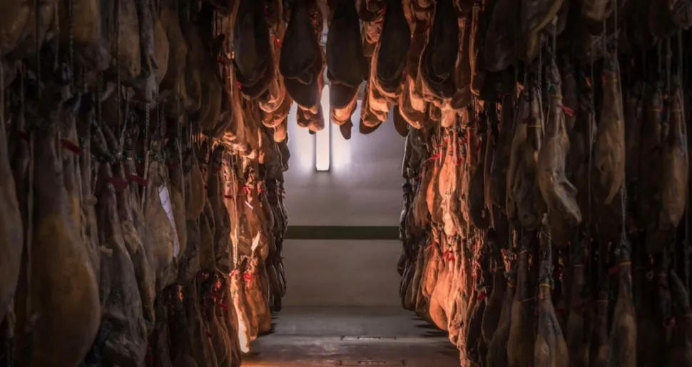 Jamón de Bellota ibérico "Guijuelo" 50 % Raza Ibérica 8 Kg