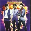 Jonas Brothers The Concert Experience [DVD] [dvd] [2010]