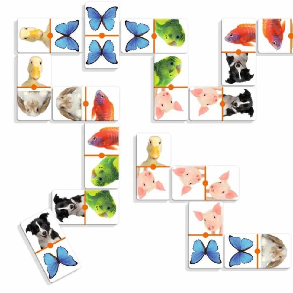Juego Domino Infantil Foto Animales