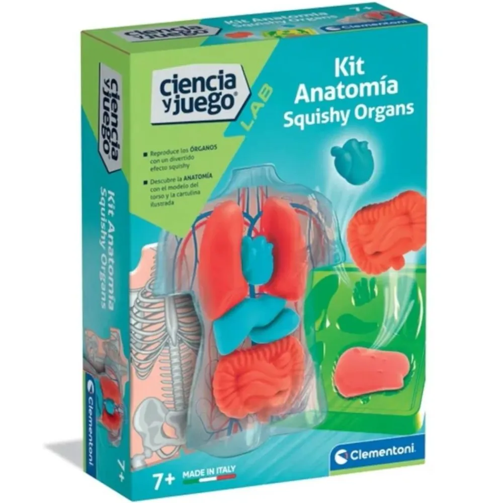 New Clementoni Juego Educativo Kit de Anatomía Squishy Infantil -