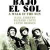 La Casa Del Cine Para Todos - Un paseo bajo el sol (dvd)