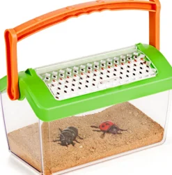 La casa de los insectos (Bug house)