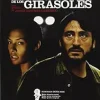 New DVDTOTAL La noche de los girasoles [DVD] [dvd] [2013]