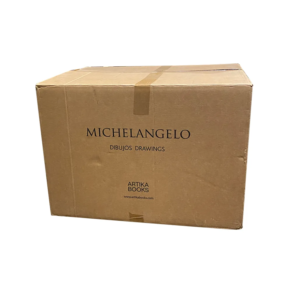 Libro Michelangelo: Dibujos