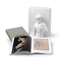 Libro Michelangelo: Dibujos