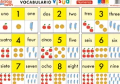 Sale GEU Lámina bilingüe de vocabulario visual - Números