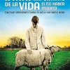 Lo más importante de la vida es no haber muerto [DVD] [unknown_binding] [2014]