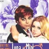 Luna De Miel En Familia [DVD] [dvd] [2011]