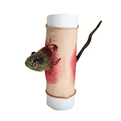 Discount Disfraces Lucero Manguito Rata Atravesada Halloween - Accesorio Realista de Terror
