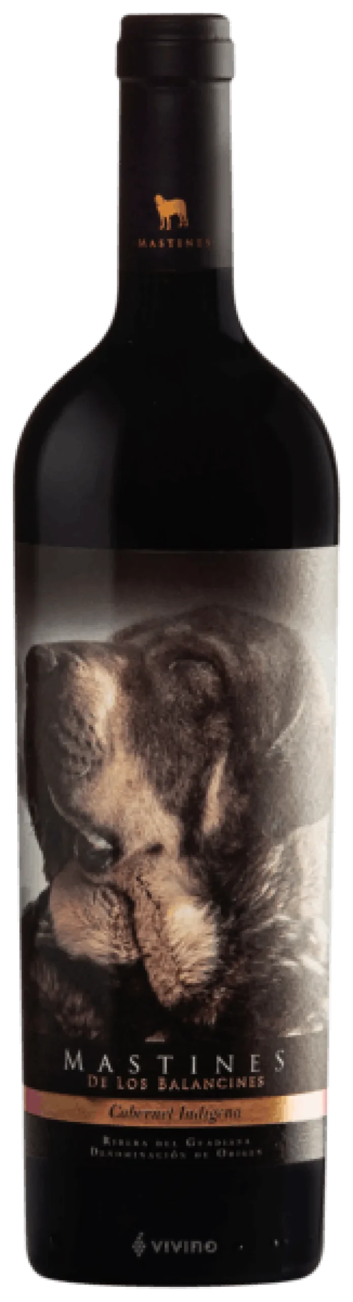 Online Casa Hermo Delicatessen Mastines Cabernet Indígena